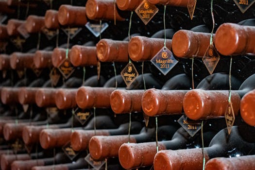 Inside Singita's Wine Cellar: 25,000 Bottles Hidden in the African Bush