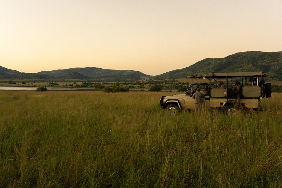 Best Safari Hotels in South Africa