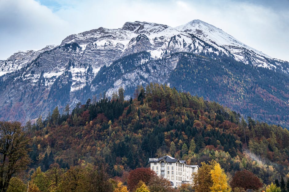 Switzerland's Best Hotels with Alpine Views